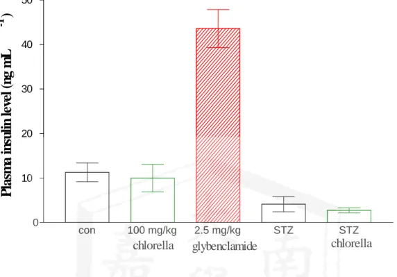 Figure 5. Effects of 100 mg/kg Chlorella on insulin release in STZ mice
