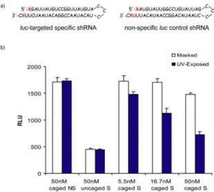 Figure 2.    (a) Target-specific (S) and non-specific (NS) shRNA  sequences with L365 covalently attached at both 3'- and 5'-ends