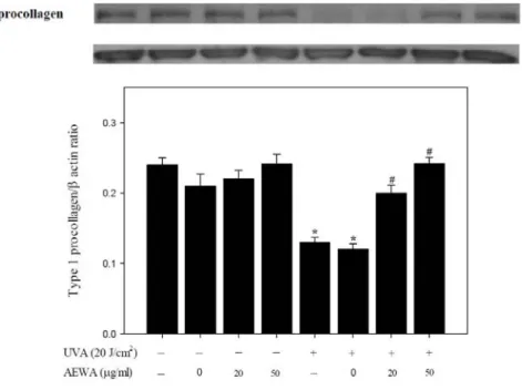 Figure 3. Chronic exposure of Hs68cells to AEWA prevented UVA-induced downregulation of type I  procollagen