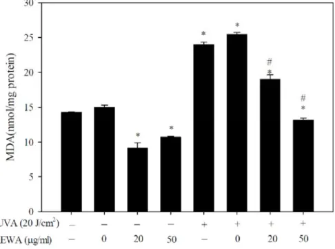 Figure 5. Suppression of UVA-induced MDA accumulation and NFB levels by AEWA in Hs68 cells