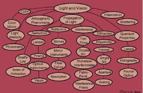 Fig. 1. The study roadmap for light and vision. 