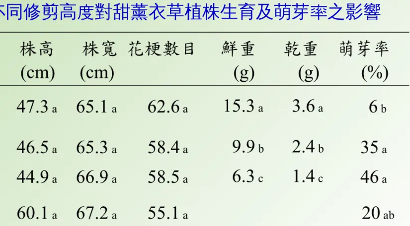 表  1. 不同修剪高度對甜薰衣草植株生育及萌芽率之影響