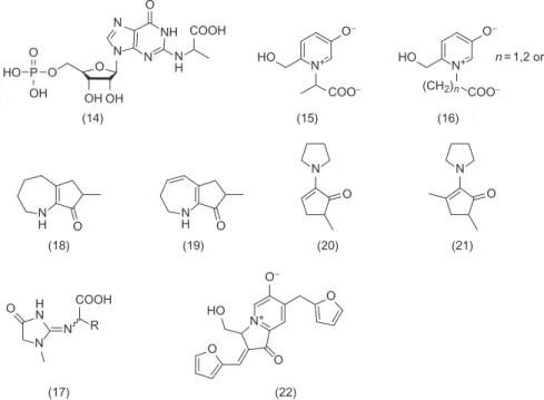 Figure 8.7 Examples of Maillard-derived tastants.