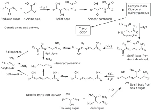 Figure 8.8 Formation of acrylamide.
