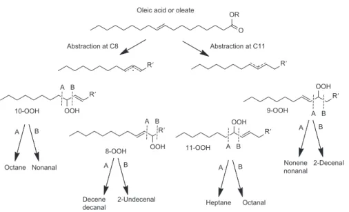 Figure 8.9 Oxidation of oleic acid.