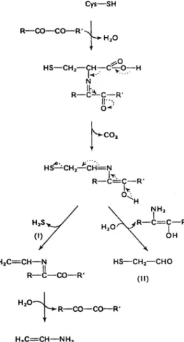 Fig. 5.18. Methionine degradation to methional, methanethiol and dimethylsulfide