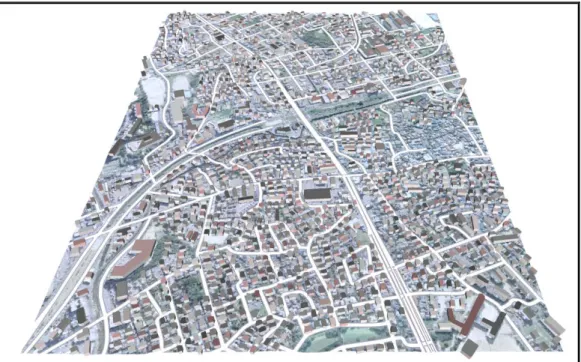 図  3-8  広域地形モデルの例 