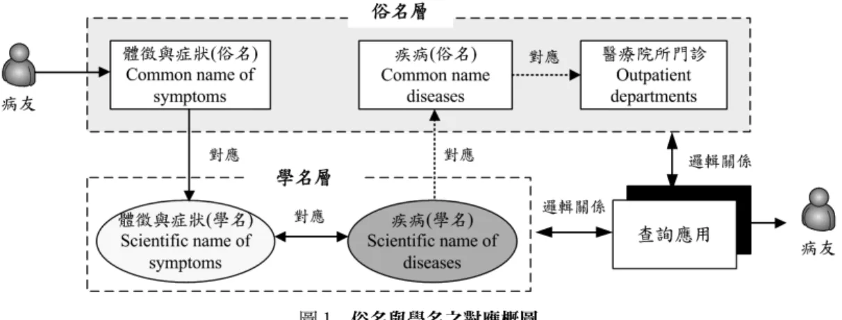圖 1  俗名與學名之對應概圖  確認解題所需的知識類型 由於實務問題通常涉及包羅萬象的知識，過與不及 都會影響知識系統的績效，因此在發展知識模型前， 須限縮知識的類型與確認範圍。Grüninger 與 Fox  （1995）曾建議利用關鍵性問題方式（Competency  Questions, CQs），針對議題的構成原因及解題的支 持元素，以類似腦力激盪方式，產生原則性的初始 項目，Chi（2009）也曾對知識導向之模型設計，建 議針對領域（domain）、應用（application）及使用 社群（c