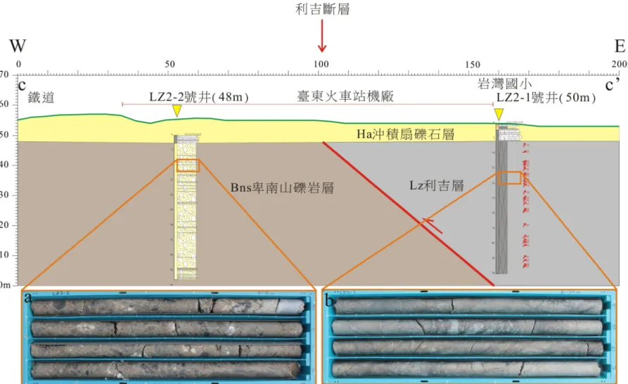 圖 4-10、岩灣國小鑽井剖面：LZ2-1 與 LZ2-2 井相距約 100 公尺，利吉斷層跡位於兩者之間。圖中照片 a 為 LZ2-2 井 8-12m 鑽井岩芯， 