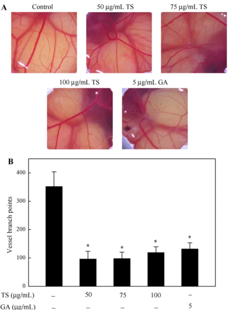 Fig. 6. TS extracts and gallic acid inhibit angiogenesis in vivo. A ﬁlter-paper disk with 0, 50, 75, or 100␮g/mL TS extracts or 5 ␮g/mL gallic acid was placed in to chick CAMs.