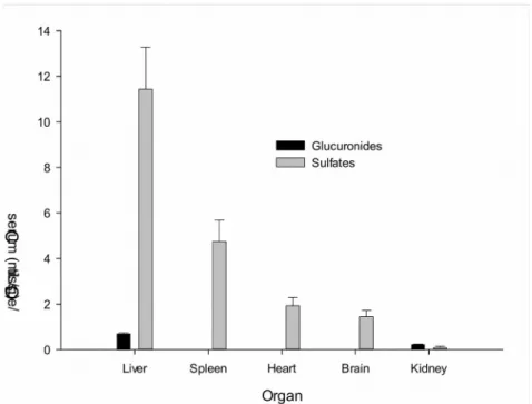 Fig. 2. The relative mean (±S.E.) ratios of concentrations of naringenin glucuronides and naringenin sulfates in various tissues to serum at 6 h after repeated dosing of naringin (210 mg/kg) twice daily for 9 days to six rats.