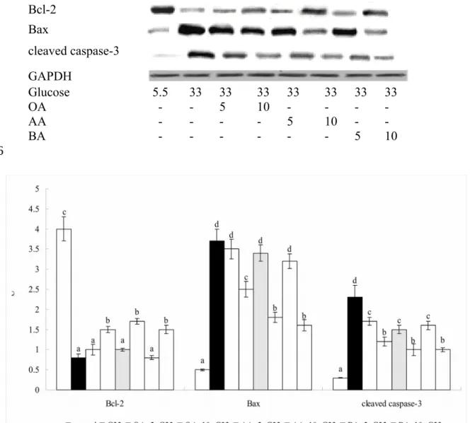 Figure 5. Effect of OA, AA or BA upon expression of Bcl-2, Bax and cleaved caspase-3.  H9c2 cells were pre-treated with OA, AA or BA at 5 or 10 M and followed by adding 33 mM glucose (G33)