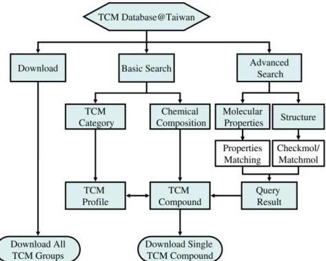 Figure 1. Search flowchart and available download options in TCM database.