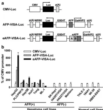 Figure 1 Molecularly engineered eAFP-VP16-Gal4-WPRE4 integrated systemic ampliﬁer (VISA) is highly and speciﬁcally active in AFP-producing liver cancer cells