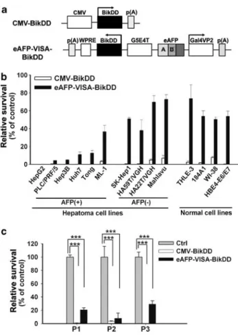 Figure 4 BikDD driven by eAFP-VISA effectively and preferen- preferen-tially kills AFP-producing liver cancer cells in vitro