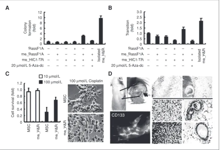 Figure 4. In vitro and in vivo tumorigenesis of me_H&amp;R-transfected MSCs. A, in soft agar assays, me_H&amp;R-transfected MSCs formed a greater number of colonies versus controls (5th and 7th columns), and colony formation was inhibited by 5-aza-dc treat