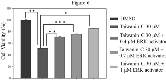 Figure 6. Effect of P-ERK1/2 activation on the inhibition effect of taiwanin C on T28 cell proliferation
