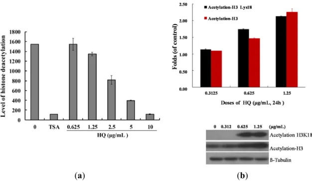 Figure  4.  Effect  of  HQ  on  histone  deacetylase activity.  (a)  The  effect  of  HQ  on  HDAC mediated deacetylation of lysine side chain with the cell-free system