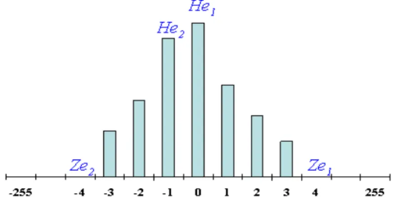 Figure 4. Histogram of interpolation errors of wall-pixels