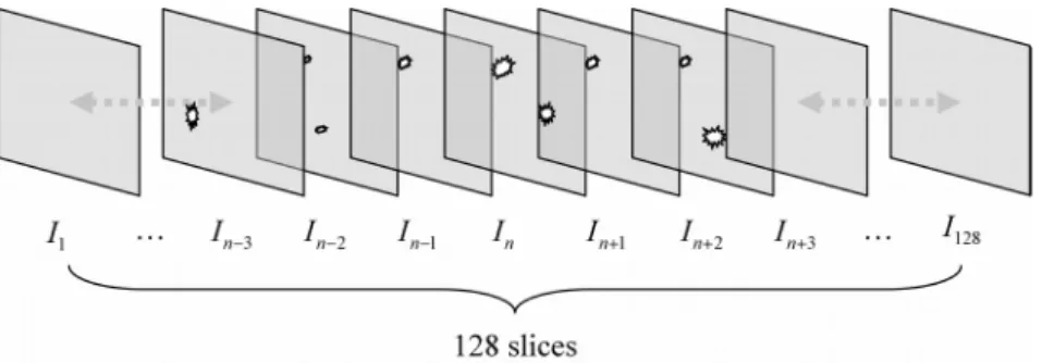 Fig. 5.  An illustration of continuity in inter-slice analysis