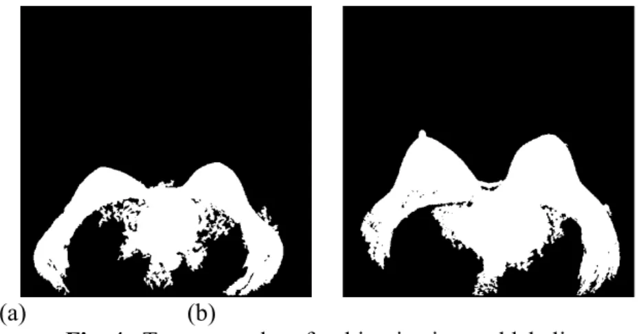 Fig. 4.  Two examples after binarization and labeling
