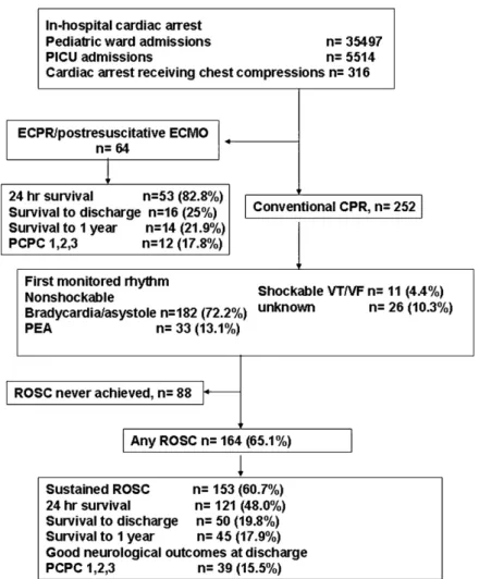 Fig. 1. Pediatric Utstein template for recording outcomes of in-hospital CPR. PICU: pediatric intensive care unit, ECMO: extracorporeal membrane oxygenation, PEA: pulseless electrical activity, ROSC: return of spontaneous circulation and PCPC: pediatric ce