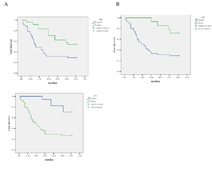 FIGURE 3. Relationship between overall survival and the test results of HPV by ISH (A), IHC  of p16 INK4A  (B) and p53 (C) in 65 patients with OSCC by Kaplan-Meier analysis