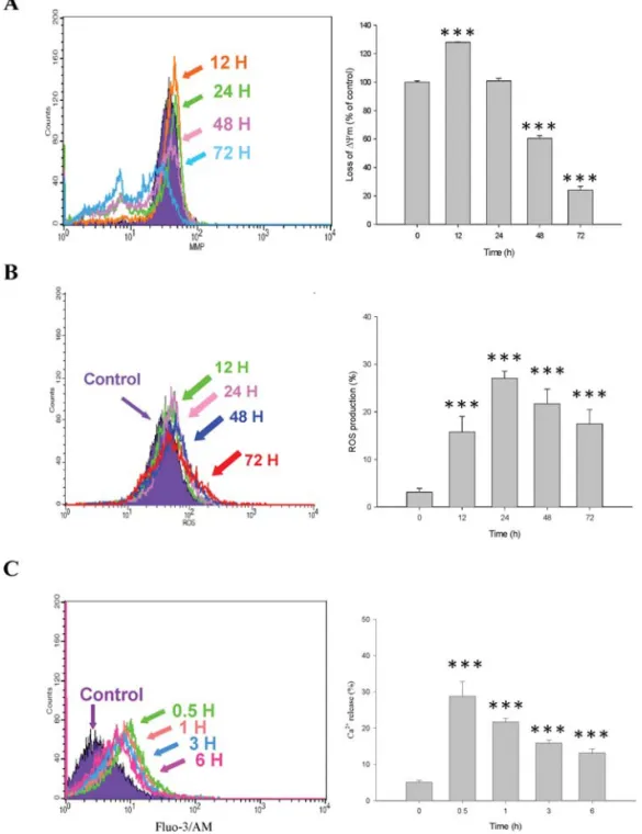 Figure 4. BITC affects the levels of mitochondria membrane potential Δ Ψ m), ROS production and Ca 2+ and in DU 145 cells