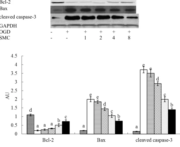 Fig. 2. Effects of SMC upon Bcl-2, Bax and cleaved caspase-3 expression determined by