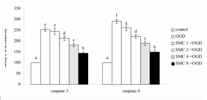 Fig. 3. Effects of SMC upon caspase-3 and caspase-8 activity (a) and protein expression