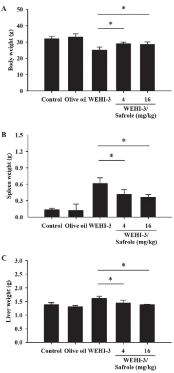 Fig. 1. Safrole affected the body, spleen, and liver weights of leukemic BALB/c mice. The animals were intraperitoneally injected with WEHI-3 cells (1 3 10 5 cells/100 lL per mouse) for 2 weeks and then orally treated with or without safrole (4 and 16 mg/k