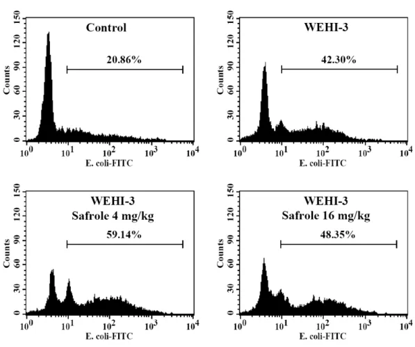 Figure 2  A PMBC