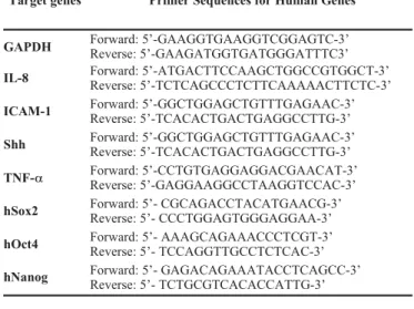 Figure 1. Effects of PA on NFκB (p65) nuclear translocation and promoter  activity  of  HepG2  cells