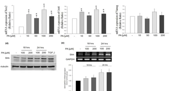 Figure 3. Effects of PA on stemness gene expression in HepG2 cells. PA treatment significantly induced the mRNA expression of (a) Sox2  (n=3).