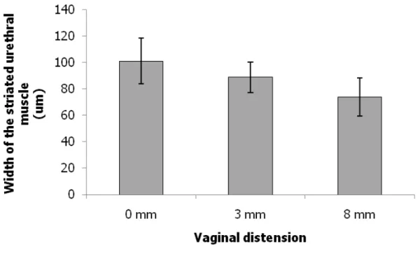 Fig. 1 (A) LPP values on the fourth day after VD in the different groups. Each bar represents  the  mean  ±  standard   deviation  of   six   individual  mice