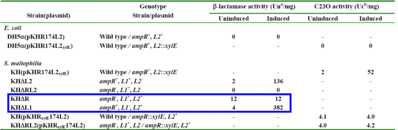 Table 1.    The β-lactamase activity and C23O activity of E. coli and S. maltophilia harboring  different recombinant plasmids   