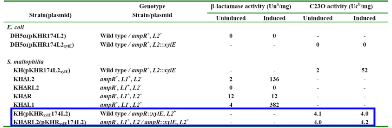 Table 1.    The β-lactamase activity and C23O activity of E. coli and S. maltophilia harboring  different recombinant plasmids   