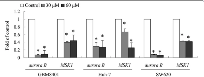Figure 3 Downregulation of aurora B, pMSK1, H3S10p, and H3S28p protein expression levels was observed with squamocin treatment
