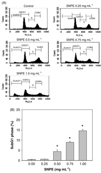 Figure 5. Effect of SNPE on CDK1/cyclin B complex formation and CDC25s protein level. (A) HepG 2 cells were stimulated with indicated concentration of SNPE for 24 h