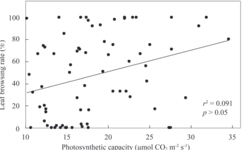 Fig. 1. Relationships between the photosynthetic capacity and leaf browsing rate of 72 tree  species in the Kenting Karst Forest.