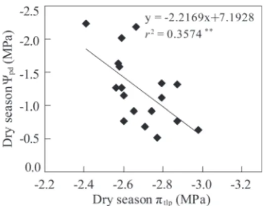 Fig. 4. Relationship between the predawn  leaf water potential (Ѱ pd ) and leaf water  potential at the turgor loss point (π tlp )  during the dry season of 18 tested species  growing in the ridge habitat of the  Lienhuachih forest