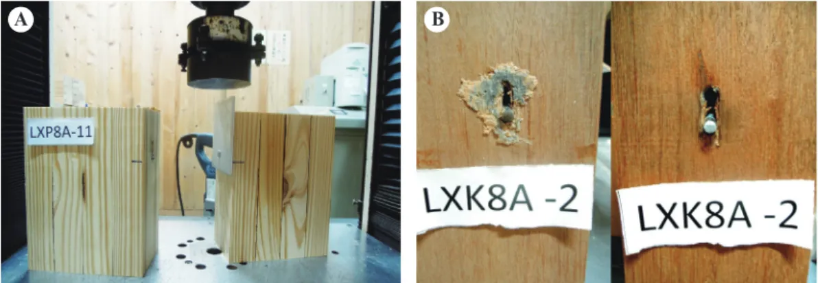 Fig. 7. Structural self-tapping screw fracture at the interface between a glulam member and  the aluminum connector.