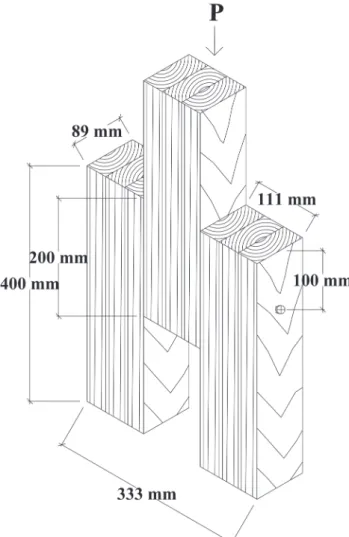 Fig. 1. Shearing test of a glulam connection with pressure (P) applied parallel to the grain.