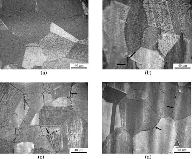 Fig. 2. The OMs of the steel after the solution heat treatment at 1373 K and isothermal holding at various low temperatures for 100 h