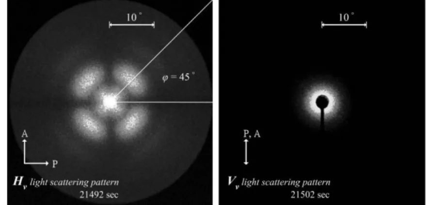 Figure 2 Small-angle light scattering patterns taken under Hv (left) and Vv (right)  condition from a PVDF-TG-LiCF3SO3 (6 gdL-1) gel at 303K