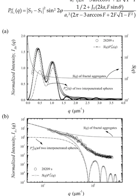 Figure 6 Behavior of the normalized scattered intensity distribution obtained from the  experimental points in gel stage ( ) as a function of the wave vector q (open circle)