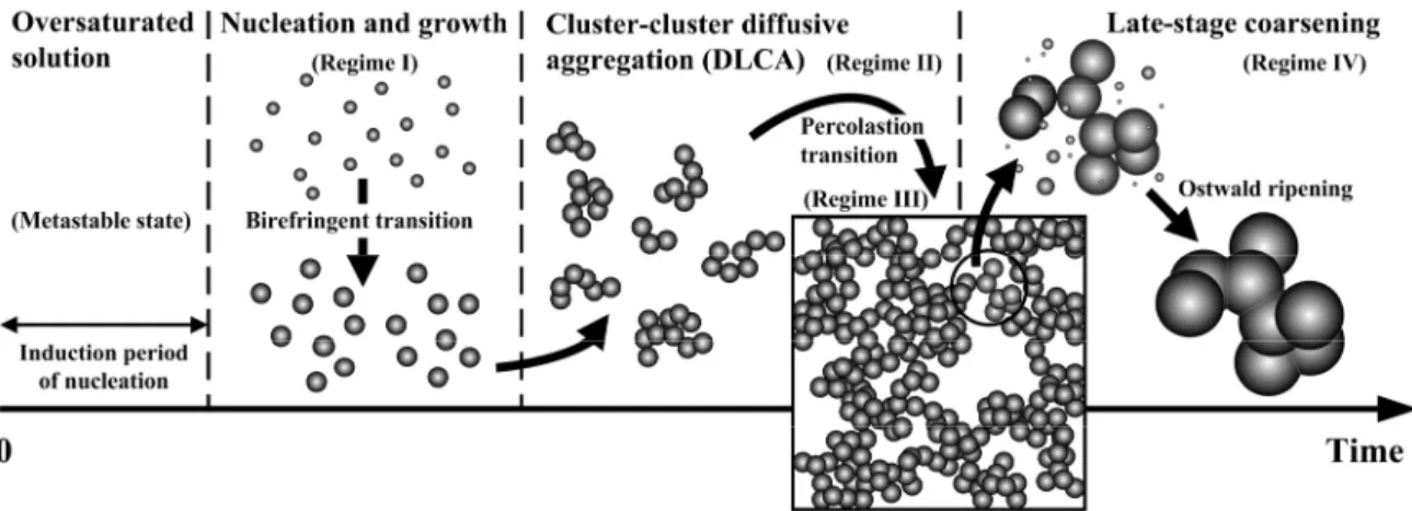 Figure 2 所示。我們可以將 Nucleation gel 的形成過程具體化，提出其主要包含了以下幾個過 程：首先是在亞穩態(meta stable)溶液當中所進行的成核－成長過程，在此一過程當中結晶性 高分子透過液－液相分離(指的是 nucleation and growth)與高分子鏈間的結晶化價橋形成所謂 的微凝膠粒子(microgels)，其次通過微凝膠粒子間的分形(fractal)聚集，形成一大尺寸的聚集 集團(clusters)進而形成三次元的網目結構。最終凝膠為了進一步的降低其兩相間的表