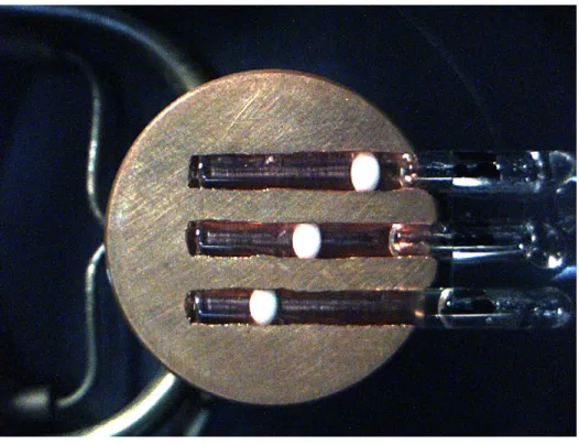 Figure 1 Gel melting picture 