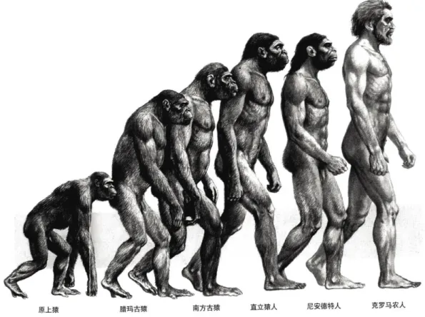 圖 4- 7 達爾文進化論圖 