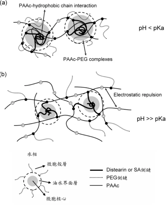 Figure 7. pH 值對高分子微胞結構型態影響之示意圖 